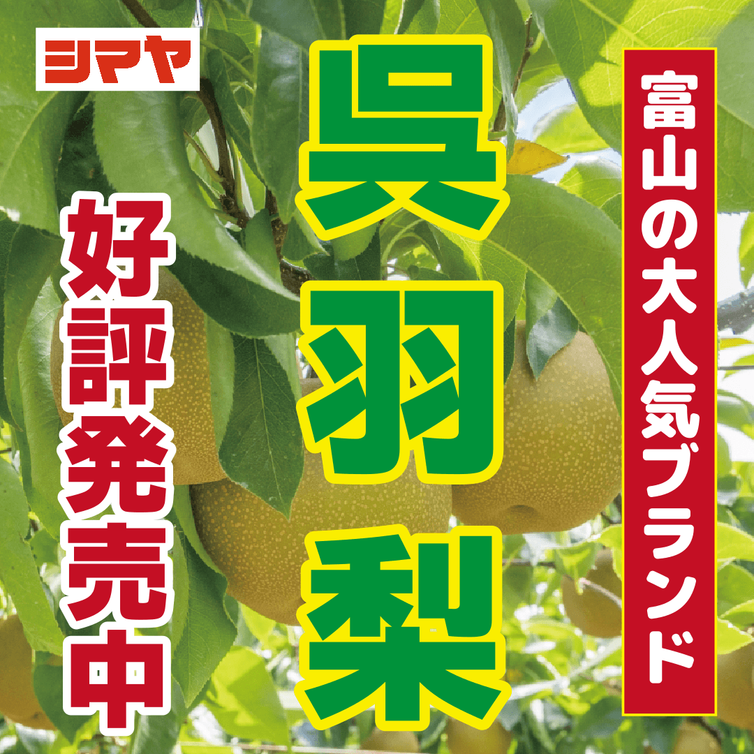富山名産【呉羽梨】好評販売中！